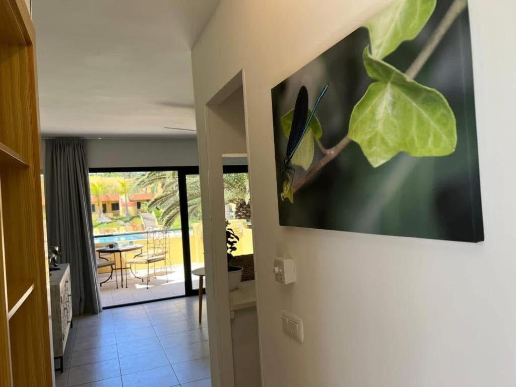 Atlantic Garden Andrew Apartments Pool Air Conditioning Corralejo Extérieur photo